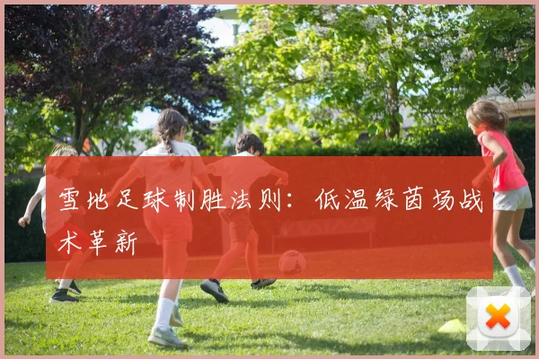 雪地足球制胜法则:低温绿茵场战术革新