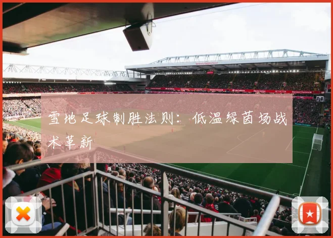 雪地足球制胜法则：低温绿茵场战术革新