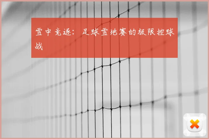 雪中竞逐:足球雪地赛的极限控球战